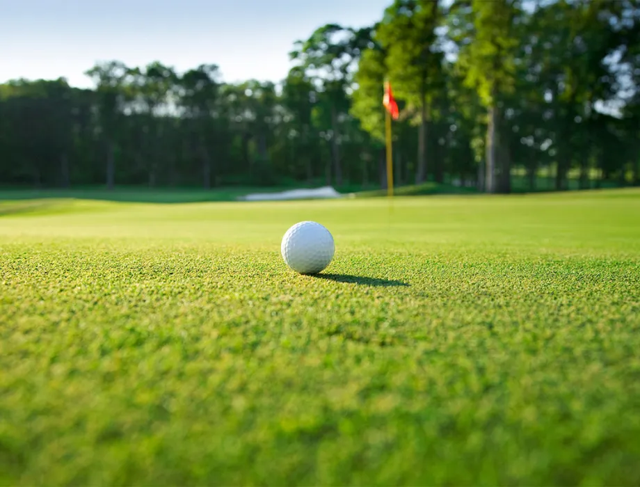 Detailaufnahme eines Golfballs auf einem besonders grünem Fairway im Golfurlaub im Arkona Strandhotel auf Rügen.