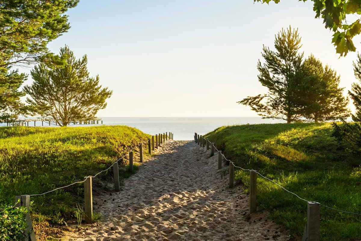 Sandweg durch grasbewachsene Dünen zum Meer bei Sonnenuntergang, umgeben von Bäumen.