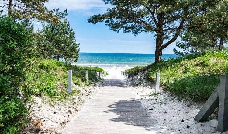 A wooden path leads to the sunny sandy beach on the Baltic Sea and the blue water, lined with trees and greenery.