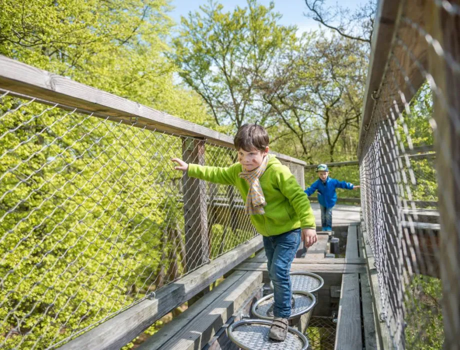 Zwei Kinder gehen über den Baumwipfelpfad auf Rügen und genießen den Familienurlaub auf Rügen.