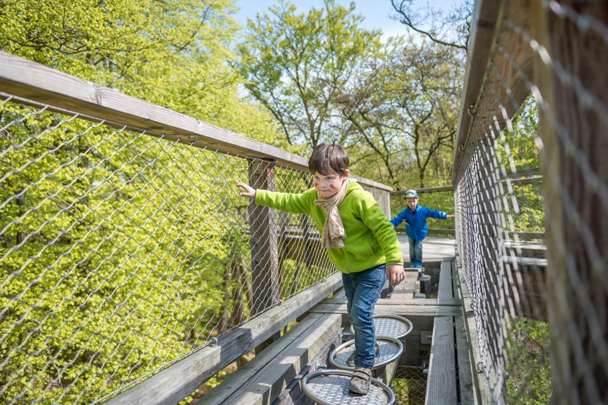 Zwei Kinder gehen über den Baumwipfelpfad auf Rügen und genießen den Familienurlaub an der Ostsee.